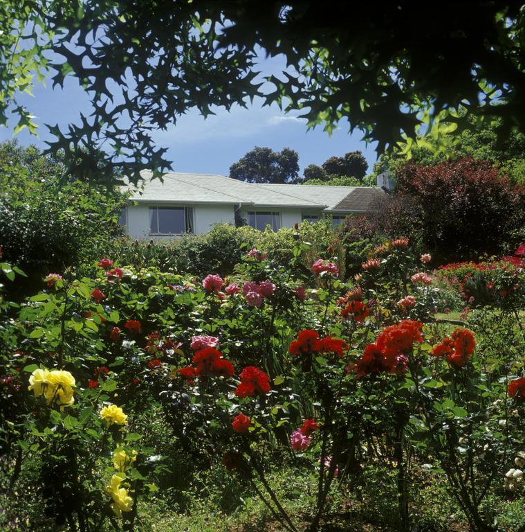 Klein Bosheuwel Guest house Cape Town